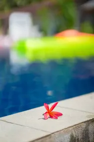 Phi Phi Cozy Seafront Resort - Reception