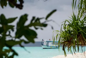 Detour Beach View - Pool