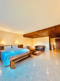 Villa Passaredo - Room