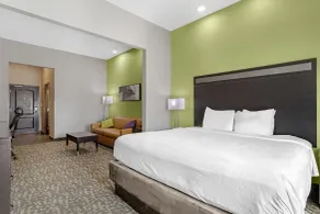 Best Western Plus Bay City Inn & Suites - Chambre