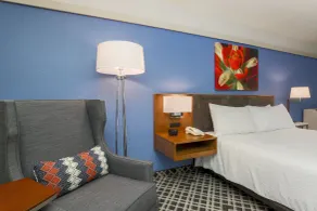 Hilton Garden Inn Dallas/Market Center - Chambre