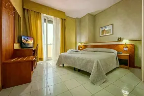 Hotel Remin Plaza - Room