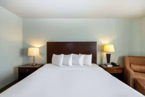 Baymont by Wyndham Rapid City - Chambre