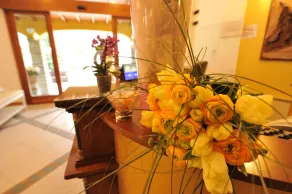 Villa Kinzica - Lobby