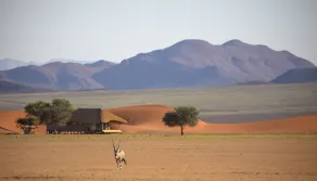 Kwessi Dunes - Quarto