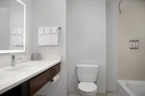 Holiday Inn Express & Suites Alexandria - Fort Belvoir by IHG - Baño
