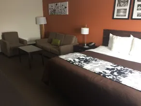 Sleep Inn & Suites And Conference Center Downtown - Chambre