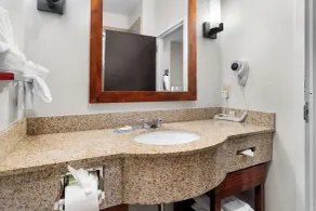 Comfort Inn & Suites Augusta West Near Fort Gordon - Salle de bain