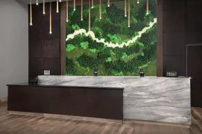 Embassy Suites by Hilton Jackson North Ridgeland - Réception