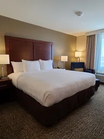Comfort Inn & Suites Harrisonburg - Chambre