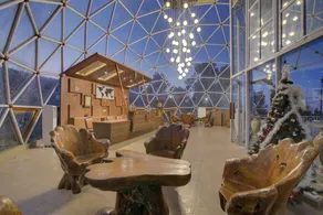 Tarika Resort & Spa , Chail - Receção