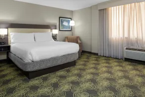 Hilton Garden Inn Reagan National Airport - Chambre