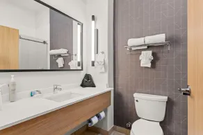 Spark by Hilton Houston Hobby Airport - Salle de bain