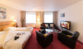 Hotel Deichgraf - Room