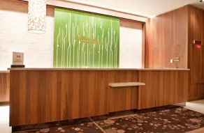 Hilton Garden Inn New York/Central Park South-Midtown West - Reception