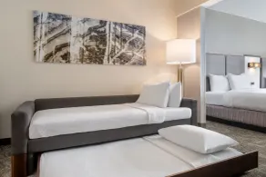 SpringHill Suites West Mifflin - Chambre