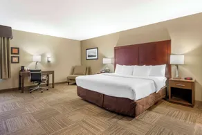 Comfort Inn & Suites Sea-Tac Airport - Chambre