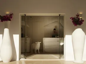Once in Mykonos - Designed for Adults - Réception