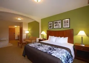 Sleep Inn & Suites Gettysburg - Chambre