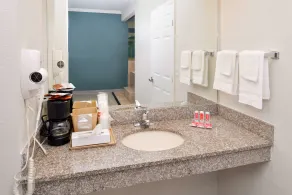 Econo Lodge Inn & Suites Port Arthur near Sabine Pass - Salle de bain