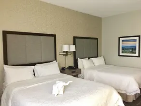 Hampton Inn Sevierville - Chambre