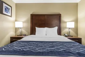 Comfort Inn Sunnyvale - Silicon Valley - Chambre
