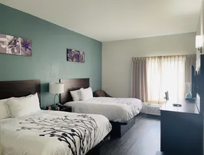 Sleep Inn & Suites Foley - Gulf Shores North - Chambre