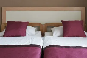 Pansion Rose - Room