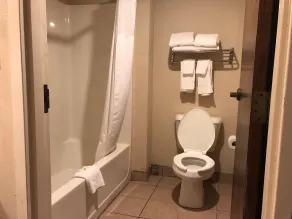 Quality Inn Stone Mountain - Salle de bain