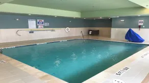 Holiday Inn Express & Suites Houston Southwest Galleria Area by IHG - Pool