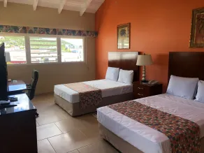 Carl's Unique Inn & Conference Facilities - Room