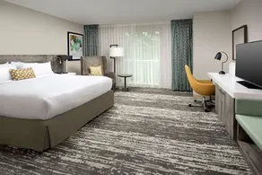 Hilton Garden Inn Miami Brickell South - Chambre