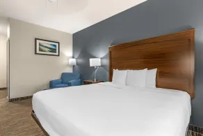Best Western Plus Lake Dallas Inn & Suites - Room