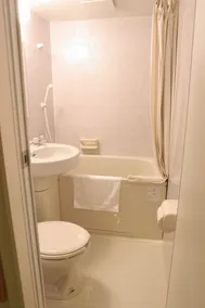 Takasaki Ekimae Plaza Hotel - Bathroom
