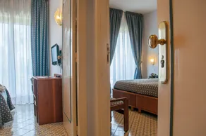 Hotel Eliseo Park's - Rum