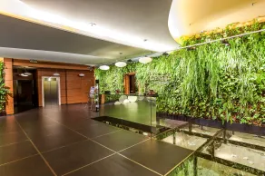 Odyssey Hotel Wellness & SPA Adults Only - Reception