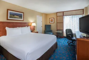 Crowne Plaza Dulles Airport by IHG - Chambre