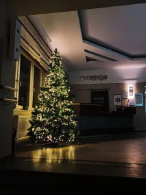Hotel Alpex  - Reception