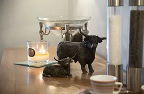 Middle Studfold Farm B&B - Rom