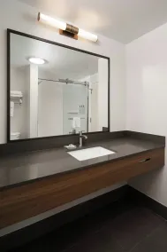 Fairfield Inn & Suites by Marriott Muskegon Norton Shores - Salle de bain