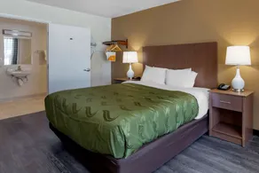 Quality Inn Saint Petersburg North-Tampa Bay - Chambre