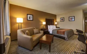 Comfort Inn - Hall of Fame - Chambre