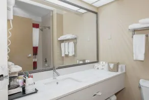 Red Roof Inn & Suites Macon - Salle de bain