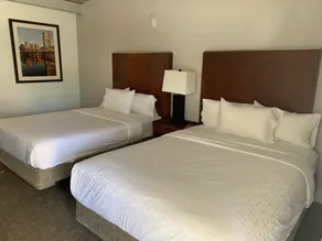 Super 8 by Wyndham San Jose Airport - Chambre