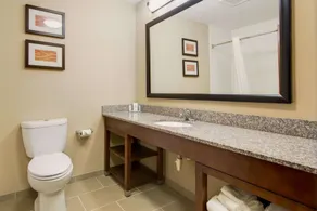 Comfort Inn & Suites Macon North I-75 - Salle de bain
