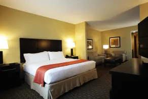 Holiday Inn Phoenix/Chandler by IHG - Room
