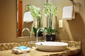 Bellstar Suites at Solara Resort - Salle de bain