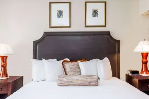 Wyndham Indianapolis Airport - Chambre