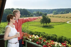 Landhotel Buller - Vue de la chambre