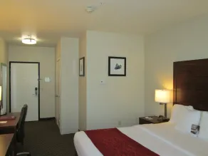 Comfort Inn & Suites Galt - Lodi North - Chambre